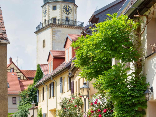 Altenburg-41-von-46